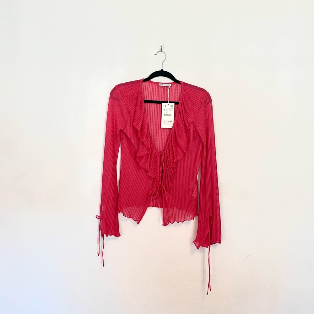 NWT Zara Sheer Ruffled Top